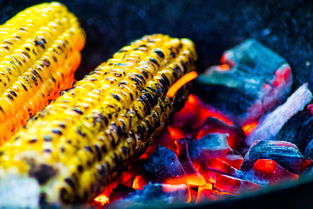 米兰体育app入口-运动饮食干预对运动表现的促进研究,举例阐述饮食运动对健康的意义 第1张 米兰体育app入口-运动饮食干预对运动表现的促进研究,举例阐述饮食运动对健康的意义 第1张