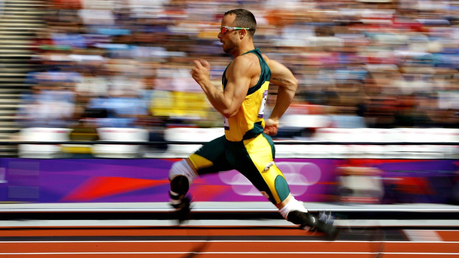 米兰体育APP在线-高校体育专业课程体系改革研究,高校体育专业课程体系改革研究方向 第4张 米兰体育APP在线-高校体育专业课程体系改革研究,高校体育专业课程体系改革研究方向 第4张