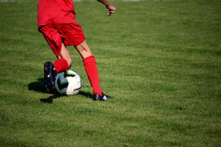 米兰体育官网-中国篮球教练员执教技能培训体系，中国篮协篮球教练员培训班  第2张