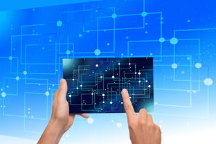 米兰体育网-中国篮球教练员执教能力提升路径研究，中国篮球教练员岗位培训a级教程书籍  第1张